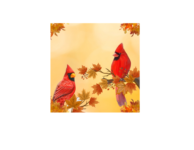 Cardinals Slate Coaster