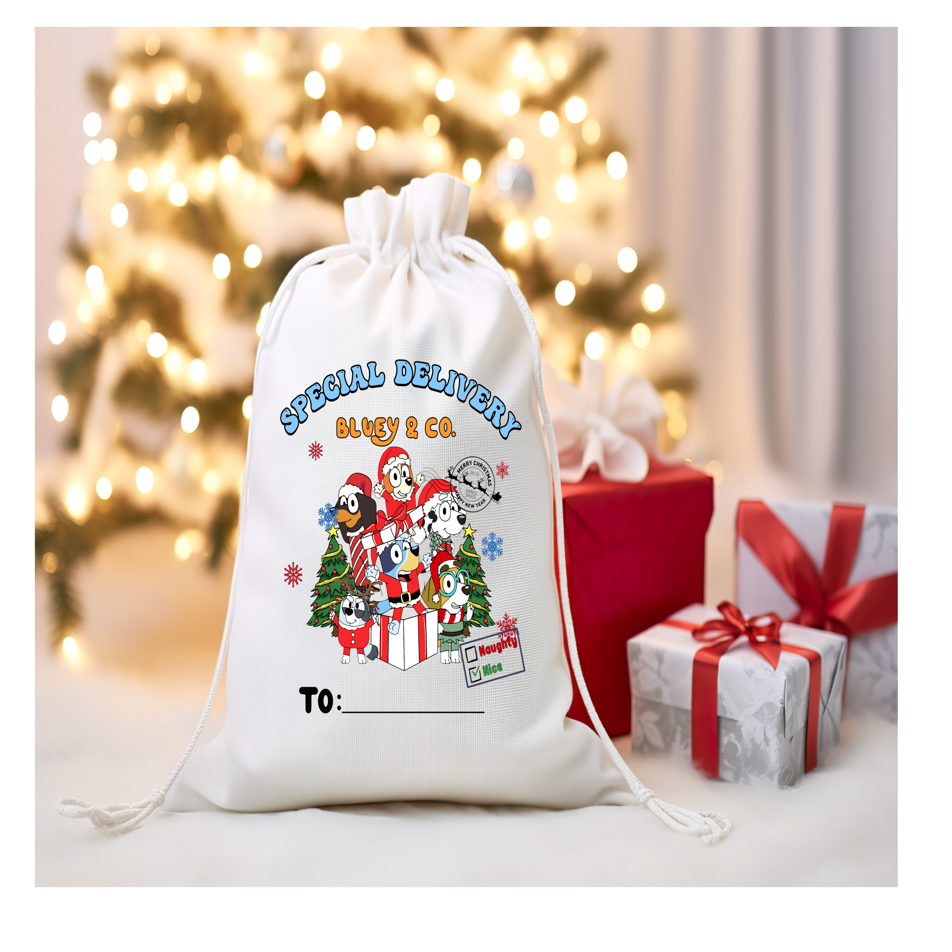 Bluey Santa Sack
