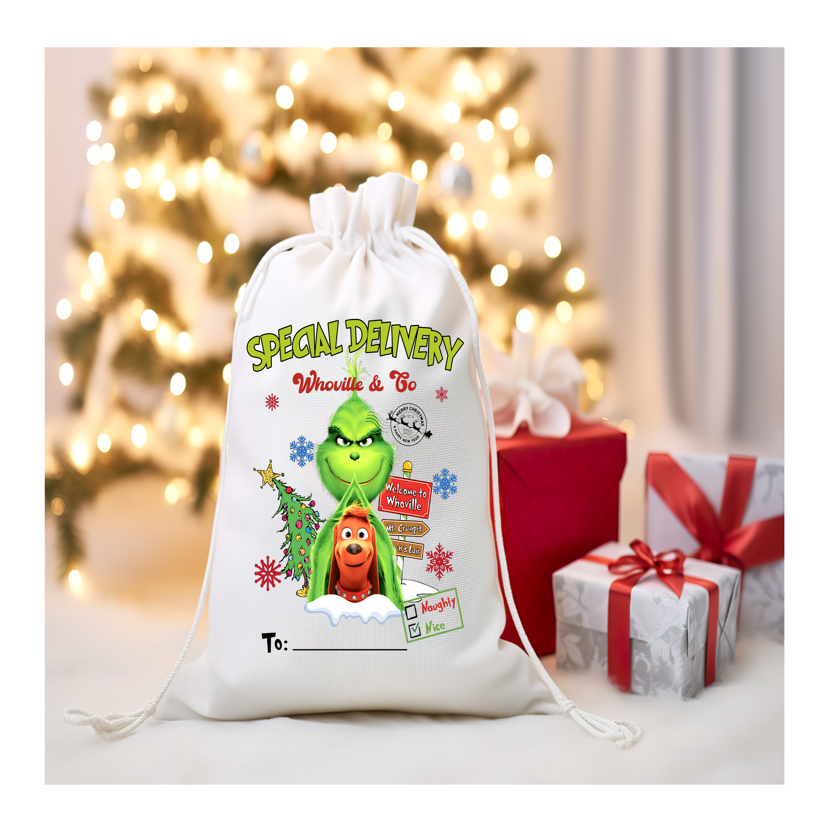 Green Character Santa Sack