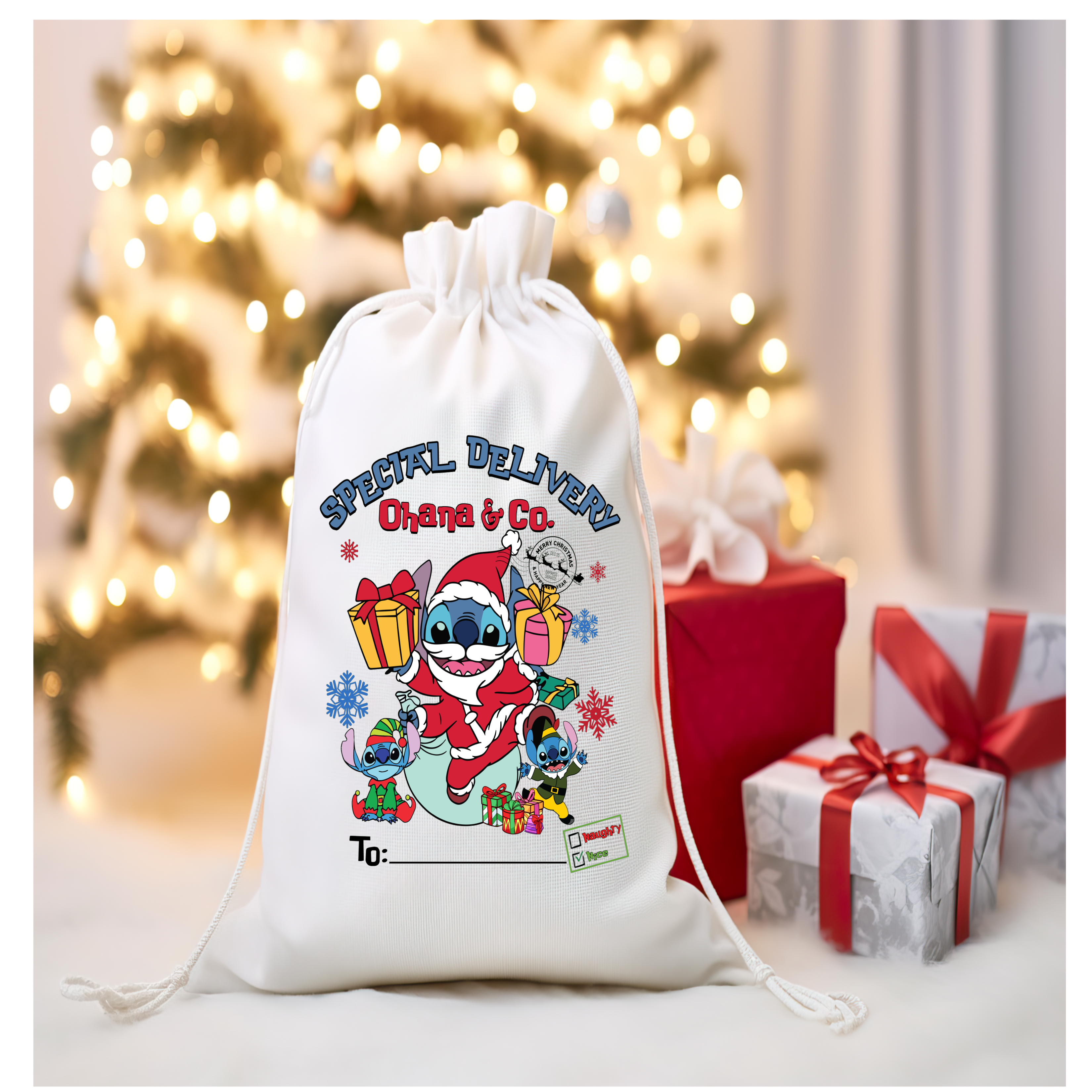 626 Santa Sack
