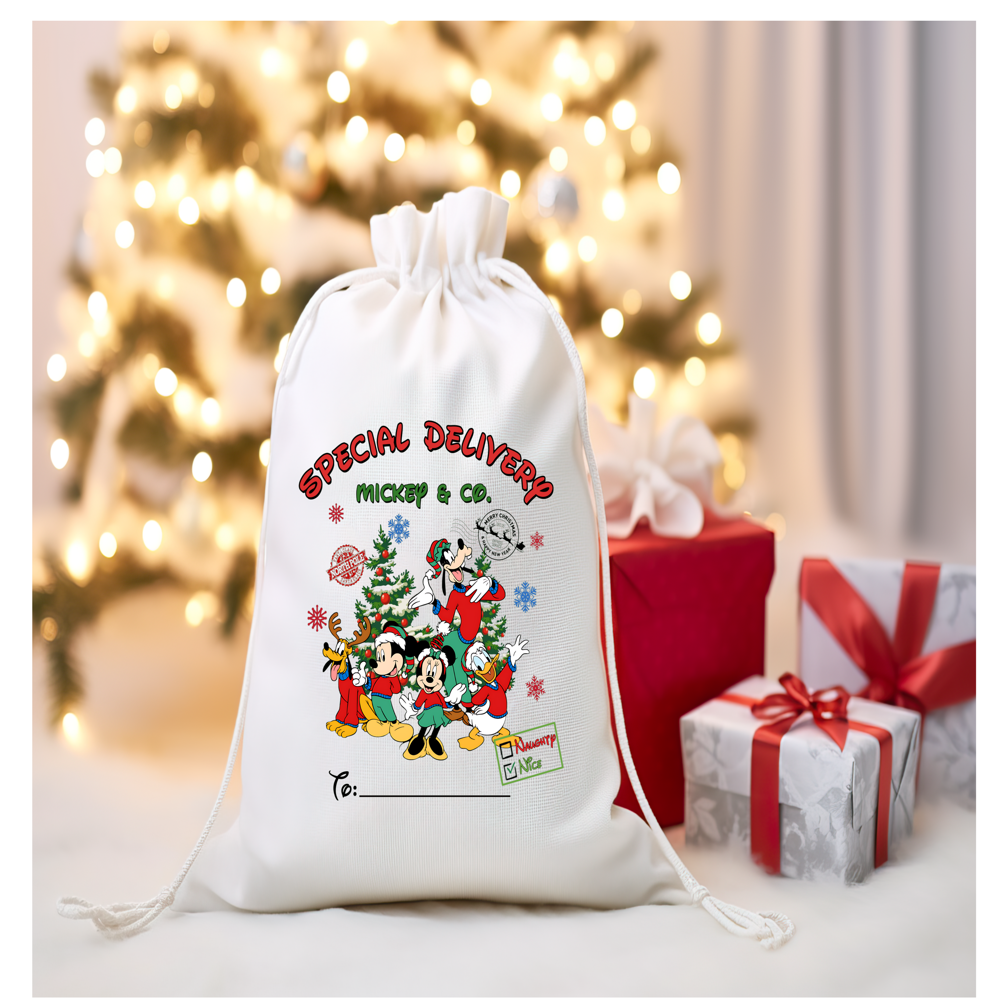Mouse Santa Sack