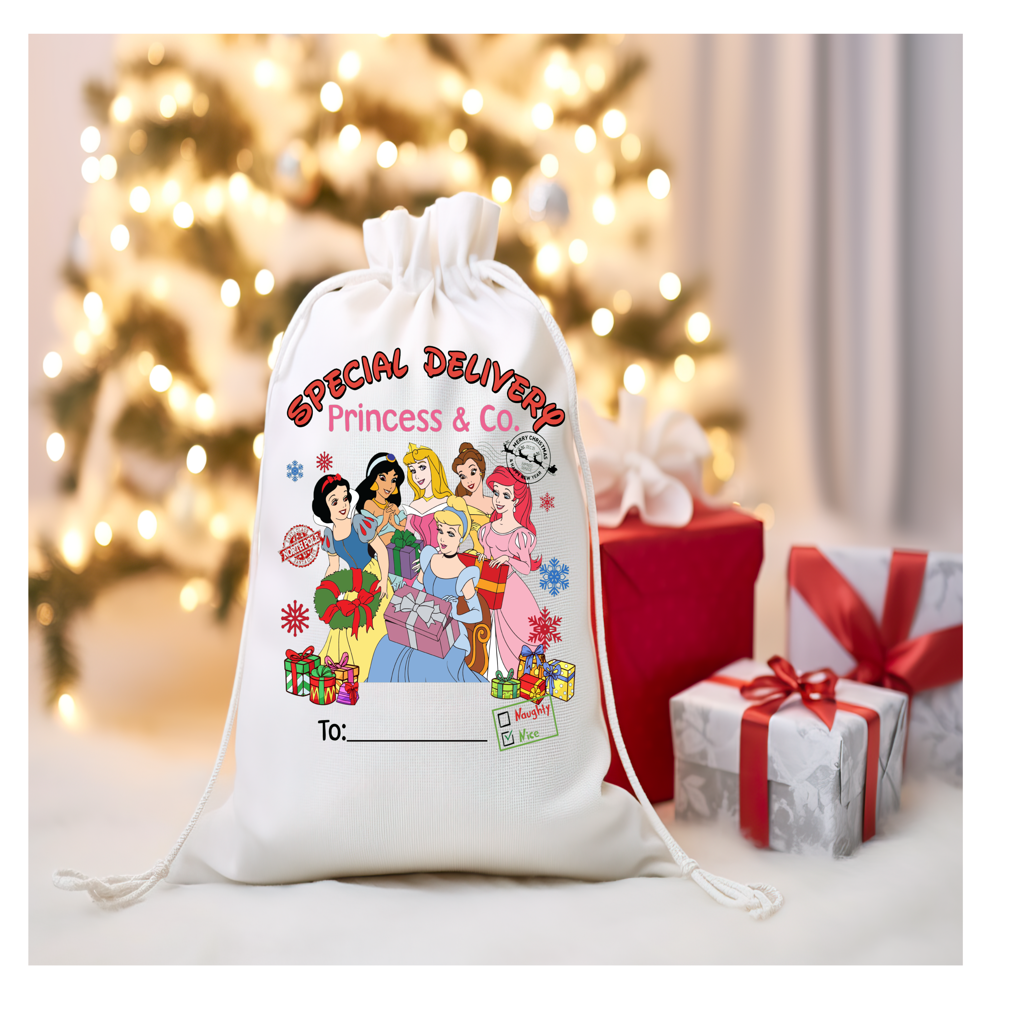 Princess Santa Sack
