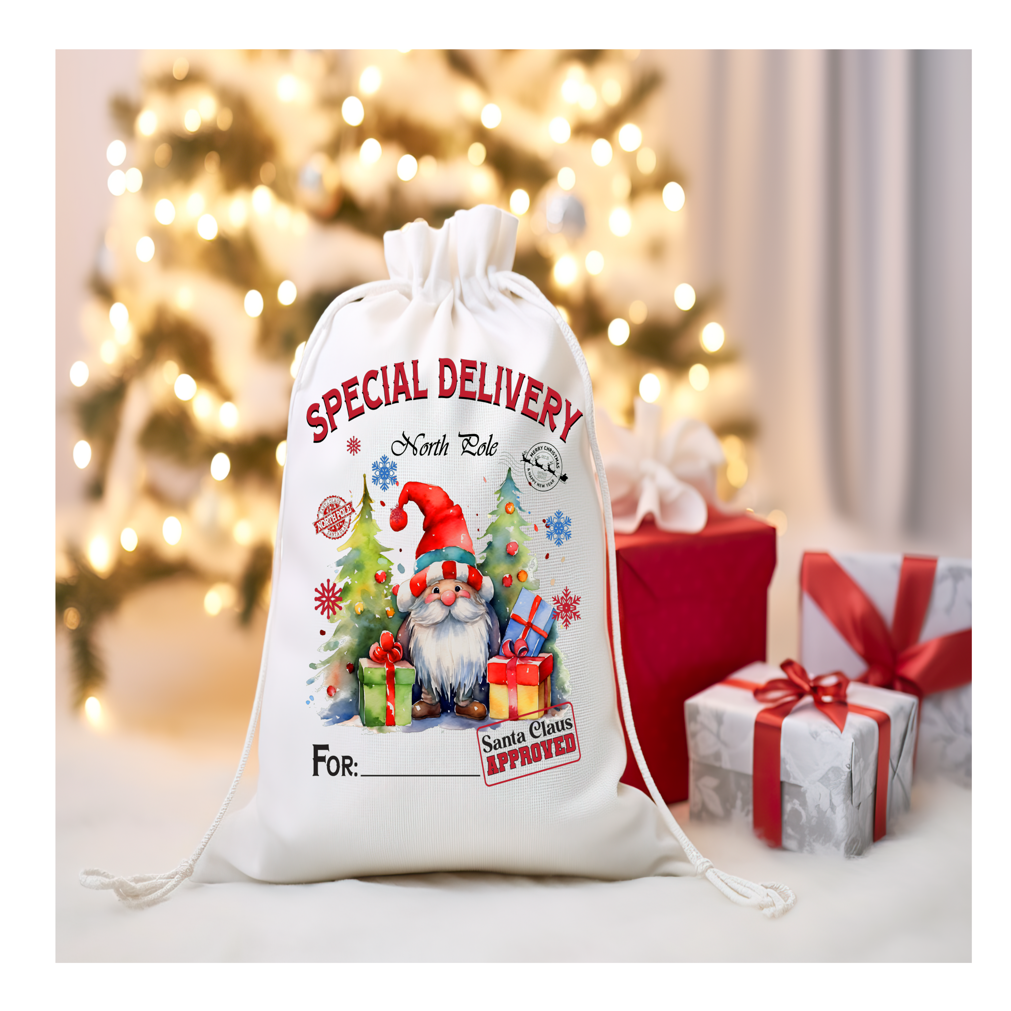 Snoopy Santa Sack